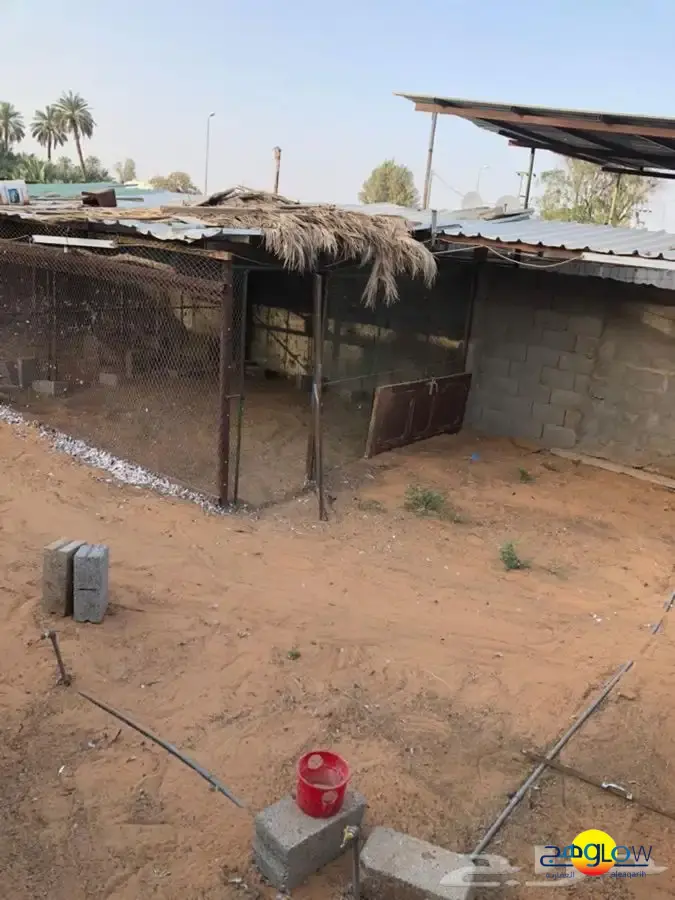 صورة إضافية للعقار